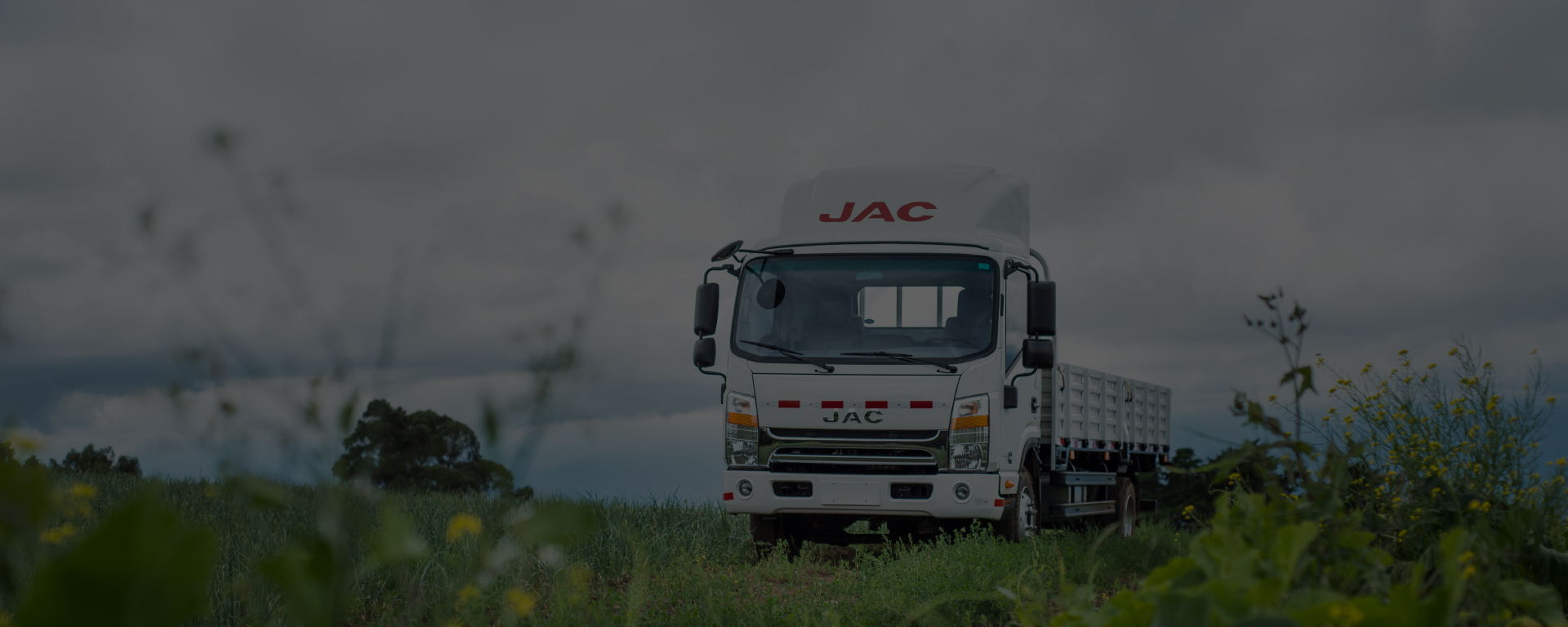 SUCURSALES JAC COSTA RICA