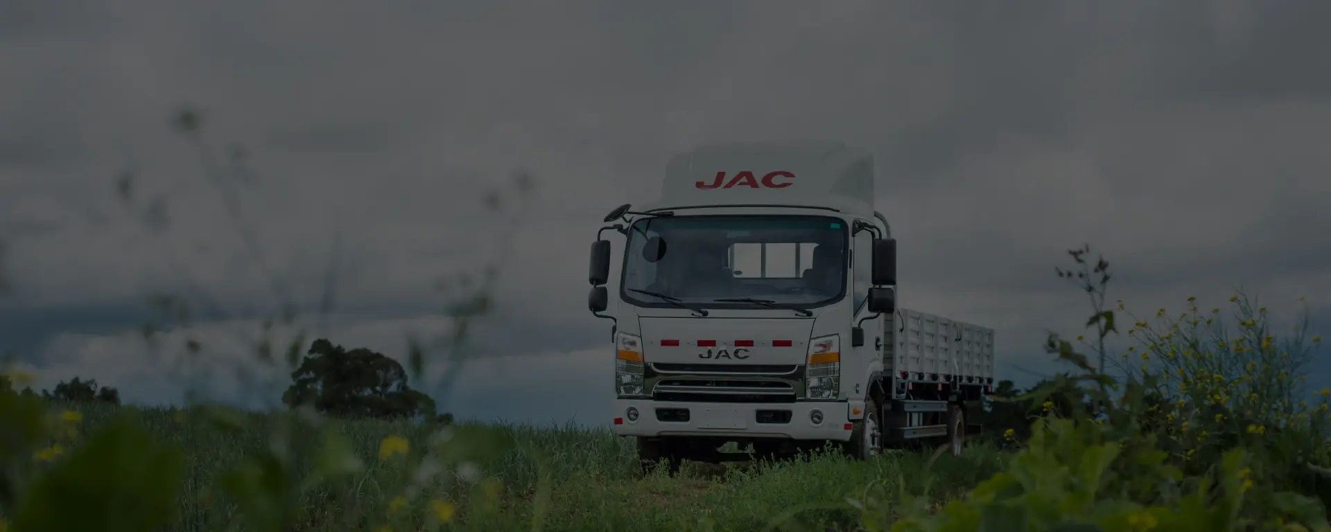 Camión JAC aparcado en campo abierto con vegetación.